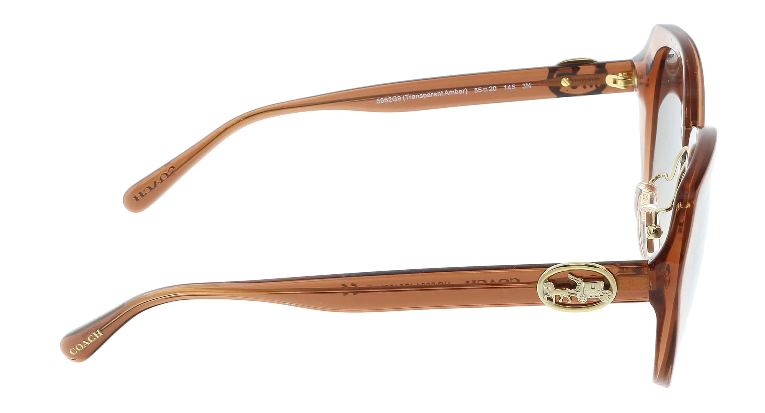 Coach 0HC8331 5662G9 Transparent Amber Geometric Full Rim Sunglasses