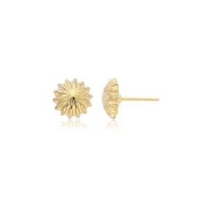 Scallop Button Stud Earrings